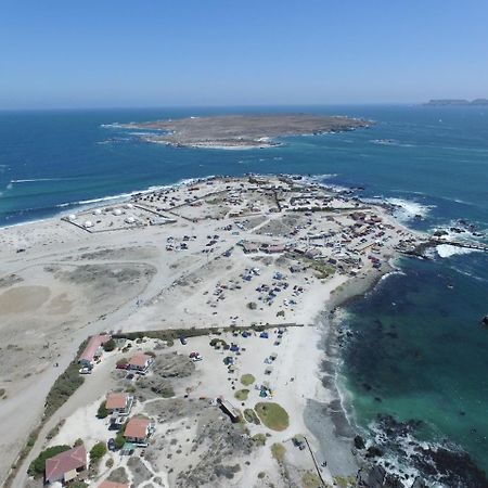 Punta De Domos Villa Punta de Choros Bagian luar foto