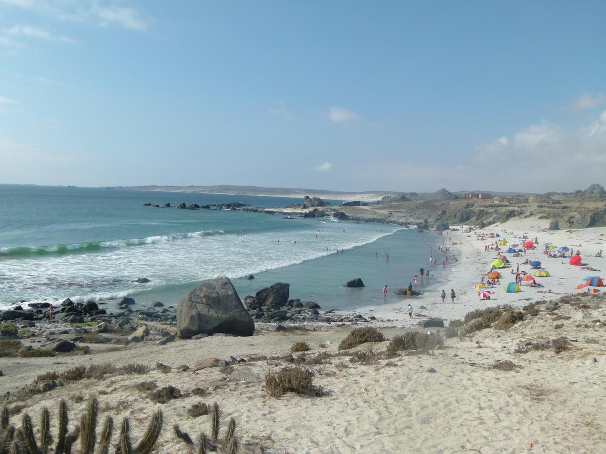 Punta De Domos Villa Punta de Choros Bagian luar foto